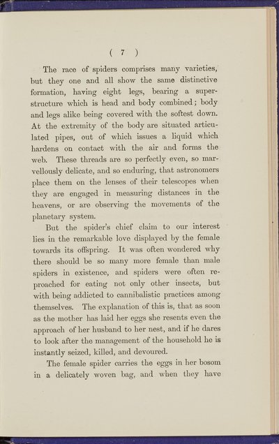 Page 293 Right Image