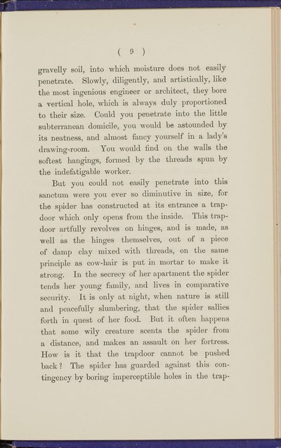 Page 295 Right Image